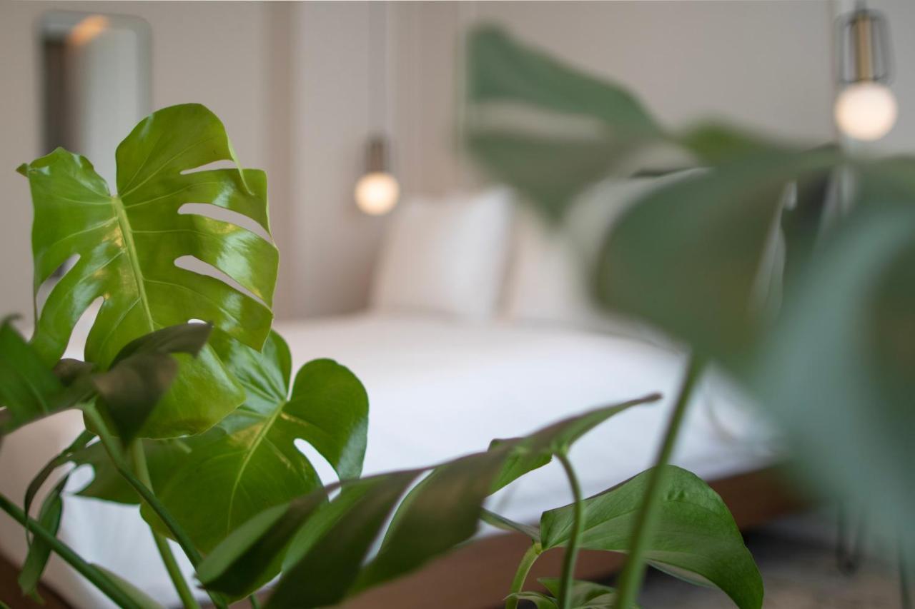 Mythodea Athens Suites Extérieur photo